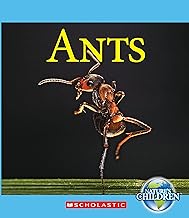 Ants