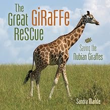 The Great Giraffe Rescue: Saving the Nubian Giraffes