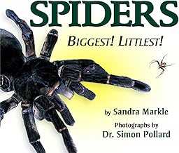 Spiders: Biggest! Littlest!
