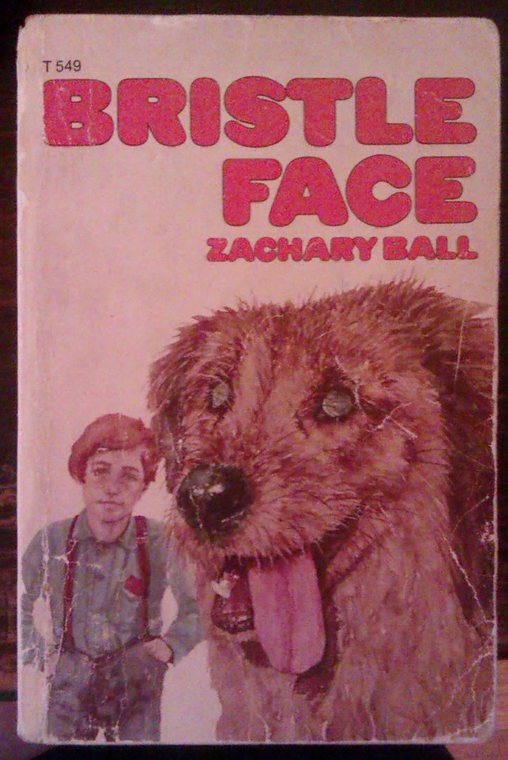 Bristle Face
