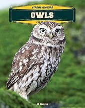 Owls