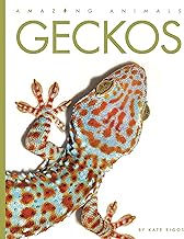 Geckos