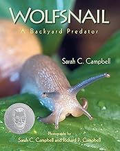 Wolfsnail: A Backyard Predator