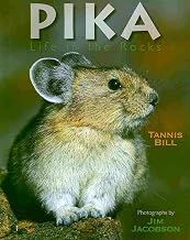 Pika: Life on the Rocks