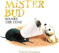 Mister Bud Wears the Cone