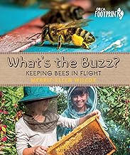 What's the Buzz?: Keeping Bees in Flight