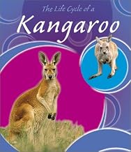 The Life Cycle of a Kangaroo
