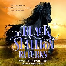 The Black Stallion Returns