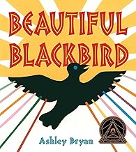 Beautiful Blackbird