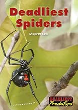 Deadliest Spiders