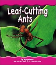 Leaf-Cutting Ants