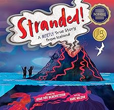 Stranded!: A Mostly True Story from Iceland