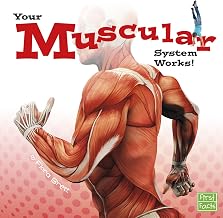 Your Muscular System Works!