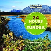 24 Hours on the Tundra