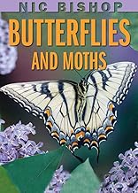 Nic Bishop: Butterflies and Moths