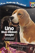 Uno: Blue-Ribbon Beagle