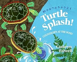 Turtle Splash