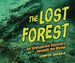The Lost Forest: An Unexpected Discovery Beneath the Waves