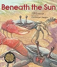 Beneath the Sun