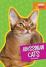 Abyssinian Cats