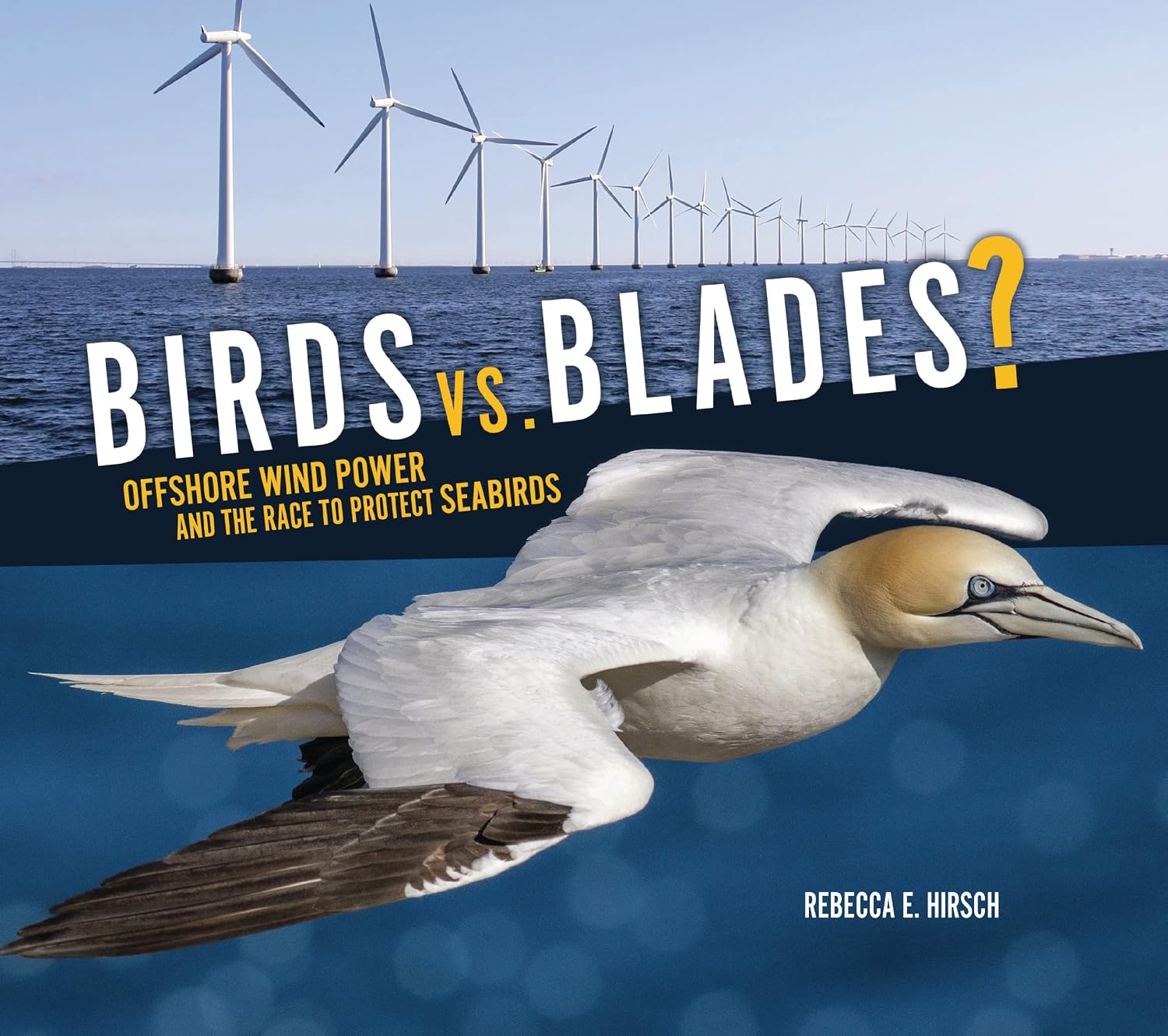 Birds vs. Blades: Offshore Wind Power and the Race to Save Seabirds