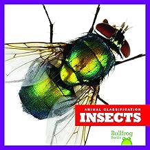 Insects