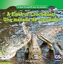 A Float of Crocodiles/Una manada de cocodrilos