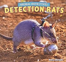 Detection Rats