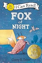 Fox at Night