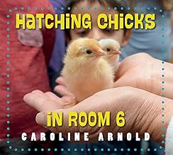 Hatching Chicks in Room 6