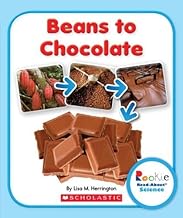 Beans to Chocolate