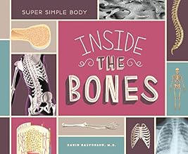 Inside the Bones