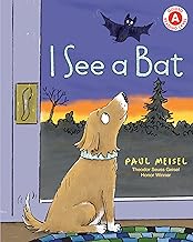 I See a Bat