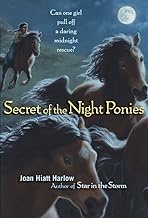 Secret of the Night Ponies