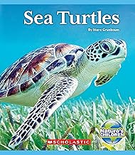 Sea Turtles
