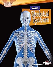 Your Skeletal System