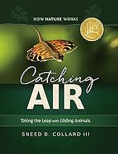 Catching Air: Taking the Leap with Gliding Animals