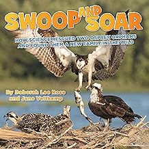 Swoop and Soar: How Science Rescued Two Osprey Orphans and Found Them a New Family in the Wild