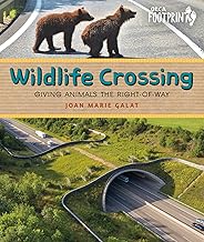 Wildlife Crossing: Giving Animals the Right-Of-Way