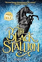 The Black Stallion