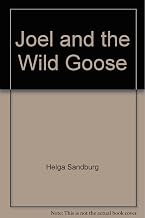 Joel and the Wild Goose