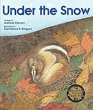Under the Snow